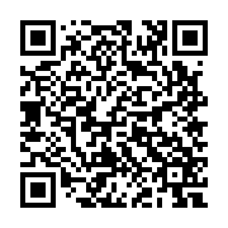 QR code for 2N5166