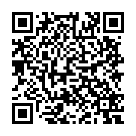 QR code for 2N9529