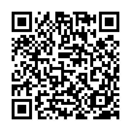 QR code for 2O9560