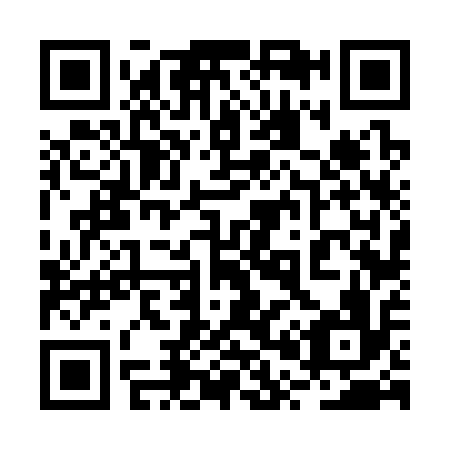 QR code for 2P6316