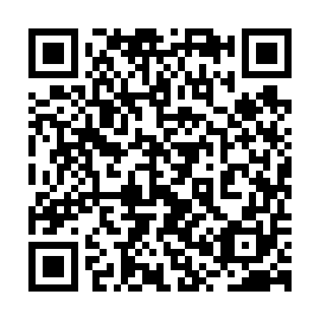 QR code for 2P9650