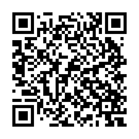 QR code for 2S1247