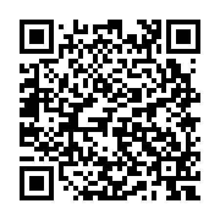 QR code for 2T1393