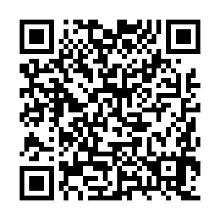 QR code for 2X0495