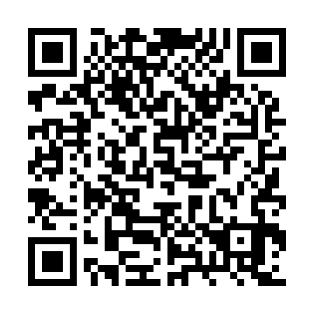QR code for 2X4933