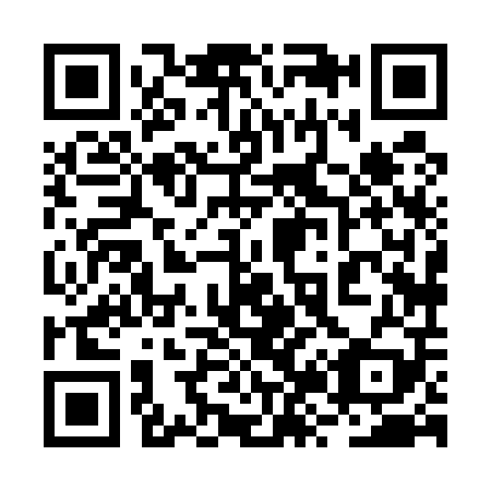 QR code for 2Z8509