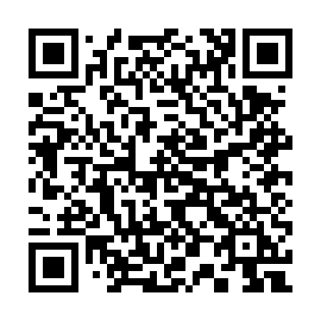 QR code for 300-DUI