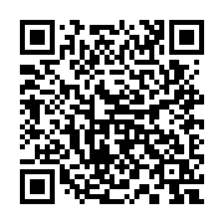 QR code for 300-GYS