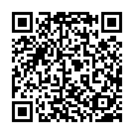 QR code for 300528