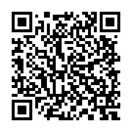 QR code for 300595