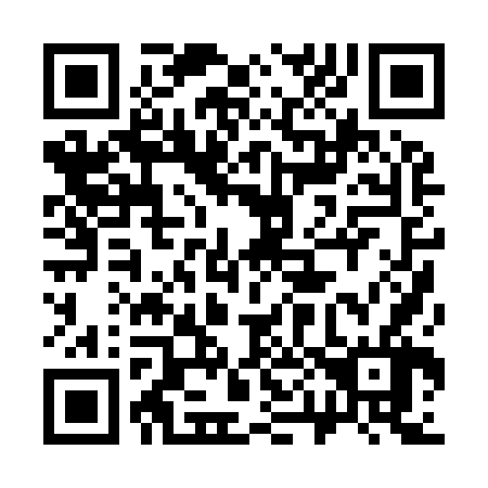 QR code for 300966