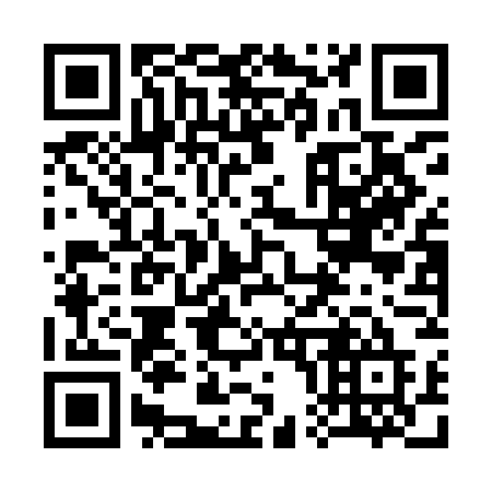 QR code for plate 300-IGE