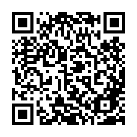 QR code for plate 300-TLG