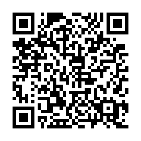 QR code for plate 300-WDE