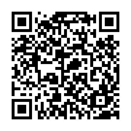 QR code for plate 301-DIV
