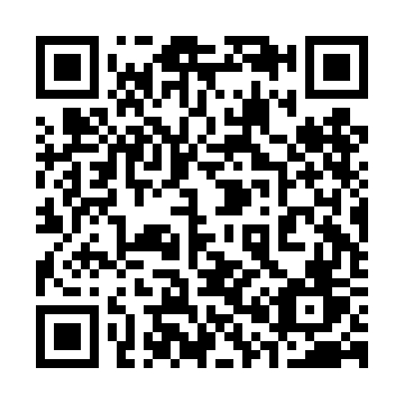 QR code for plate 302-DGV