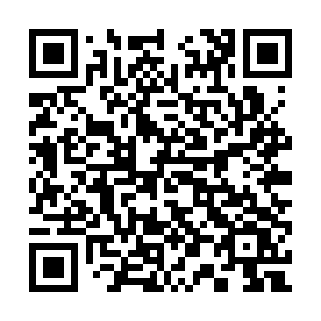 QR code for plate 305-STV