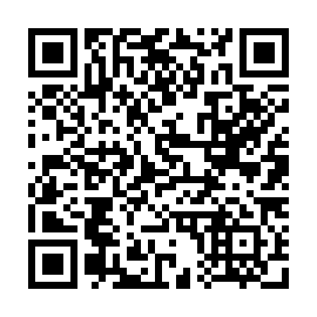 QR code for 306381