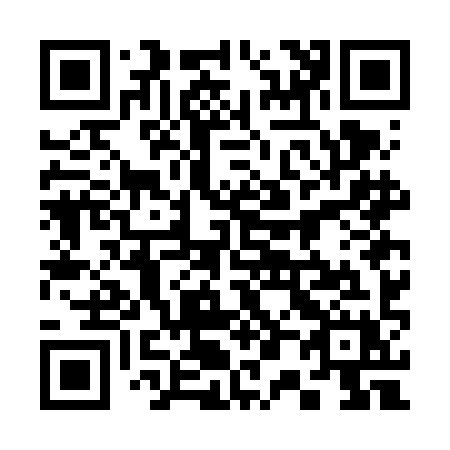 QR code for plate 307-FIX