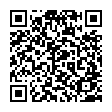QR code for plate 307-OLU
