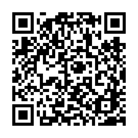 QR code for 307VDC
