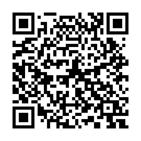 QR code for 311-BRQ