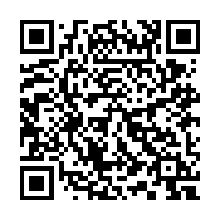 QR code for 311-FIH