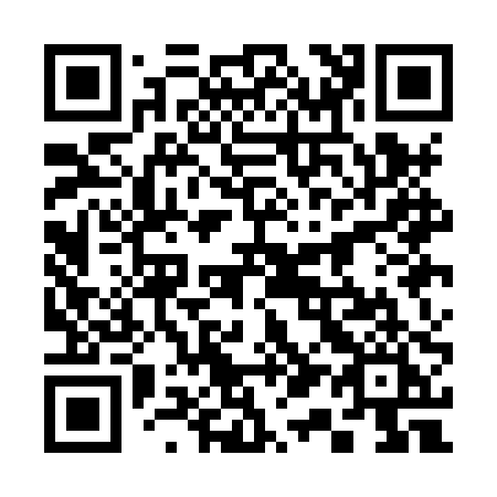QR code for 311-HPI