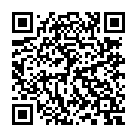 QR code for 311-LAV