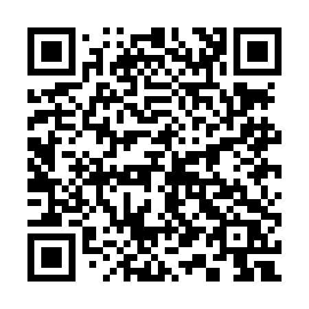 QR code for 311-LDR