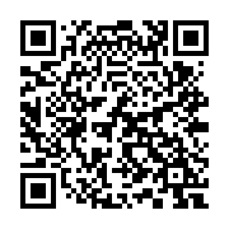 QR code for 311-VPM