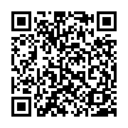 QR code for plate 311-JVQ