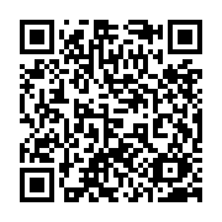 QR code for plate 311-OCO