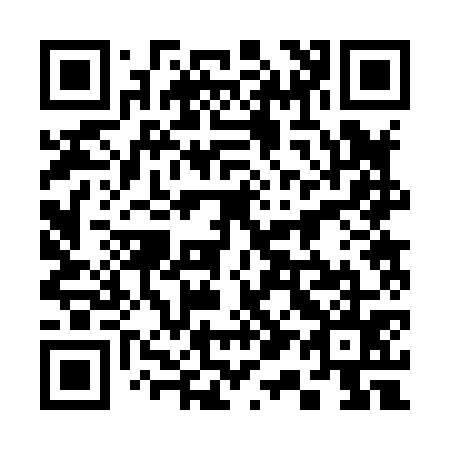 QR code for 312875