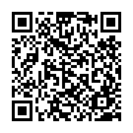 QR code for 313-DEV