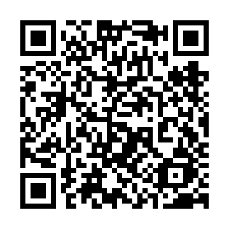 QR code for 313-FJJ