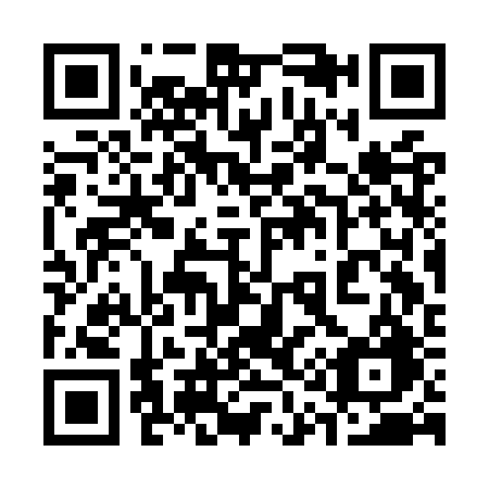 QR code for 313-ORG