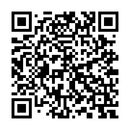 QR code for 313-PMZ
