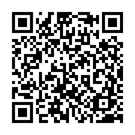 QR code for 313-QVS