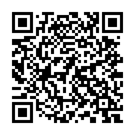 QR code for 313-TXE