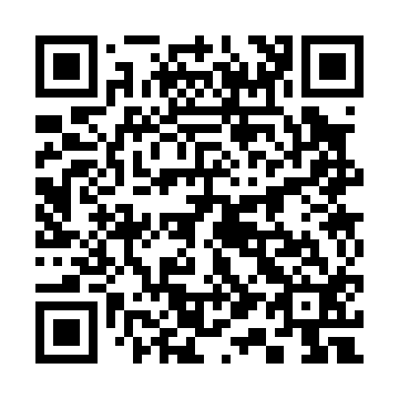 QR code for 313012
