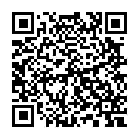 QR code for 313017
