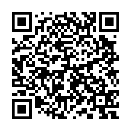 QR code for 313035