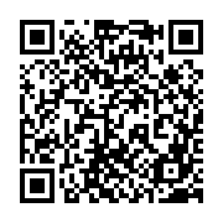 QR code for 313166