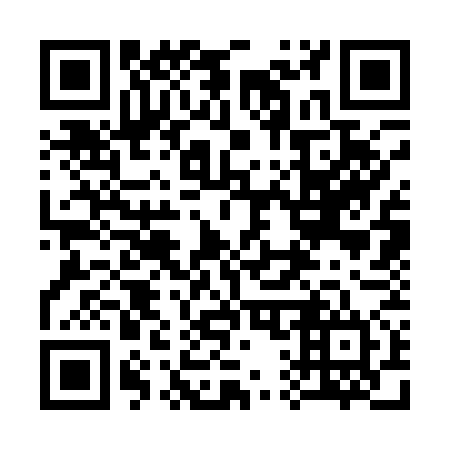 QR code for 313174