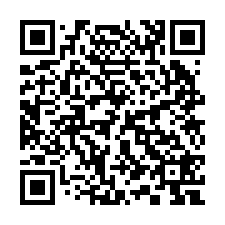 QR code for 313228