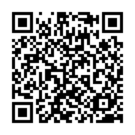 QR code for 313325
