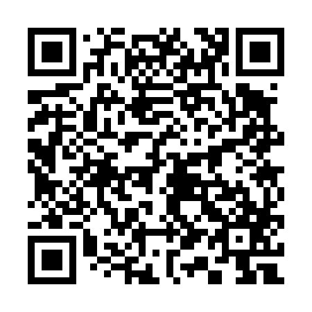 QR code for 313487