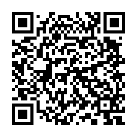 QR code for 313496