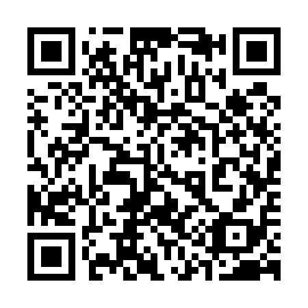 QR code for 313518